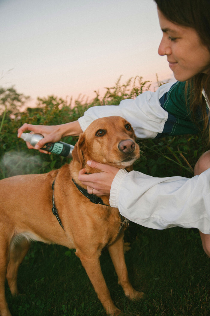 All Natural Relief Spray & Paw/Body Balm | Rugged Paw