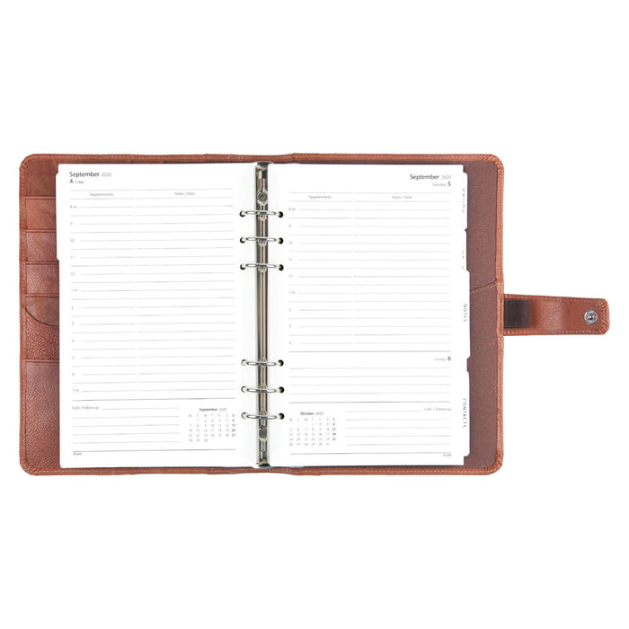 Elan 2026 Business Foam Organizer - Tan