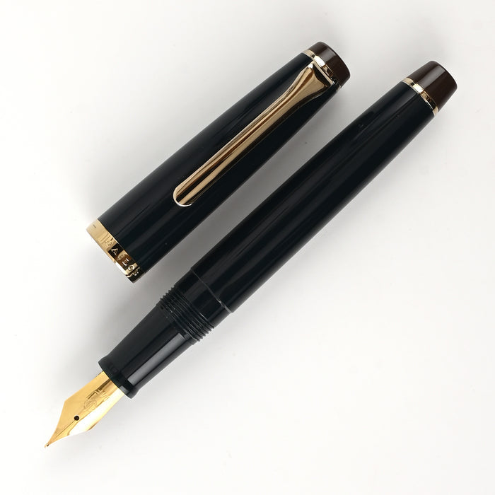 Sailor Lecoule Fountain Pen - Teal Green 2