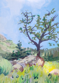 Sarah McDonald, Popo Agie Campground